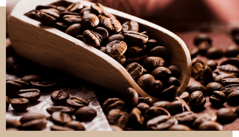 Combien de tasses de café, avec 1 kilo de café en grains ? - Blog