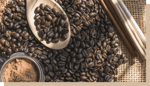 maison du cafe label utz grain