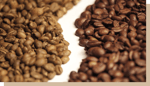 maison du cafe arabica vs robusta 2