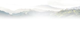 bg3