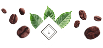 arrow leaves small