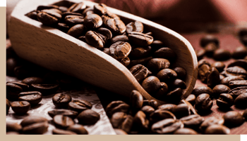 maison du cafe grain cuilliere bois image 3