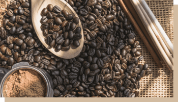 maison du cafe label utz grain