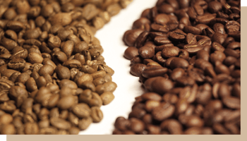 maison du cafe arabica vs robusta 2