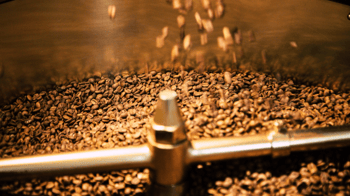 maison du cafe decafeination 1