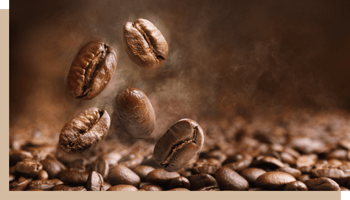 maison du cafe histoire grains 3