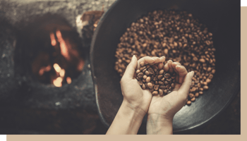 maison du cafe sante grains