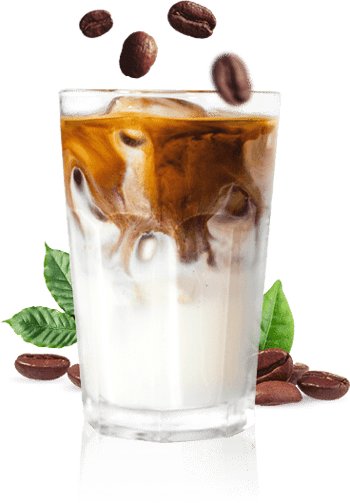 maison du cafe preparation brew coffee image