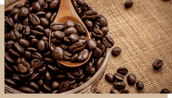 maison du cafe java grain cuilliere bois image 2