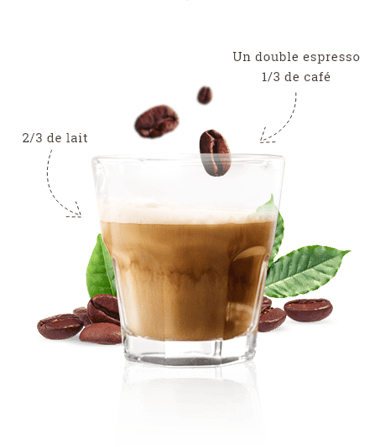 maison du cafe preparation au lait description desktop