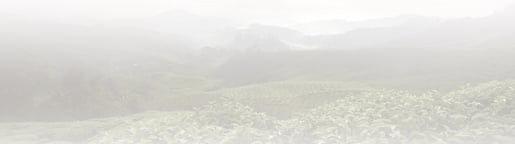 bg fields mountains