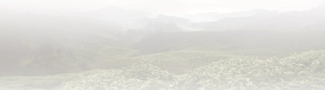 bg fields mountains