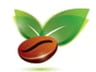 separateur grain de cafe small