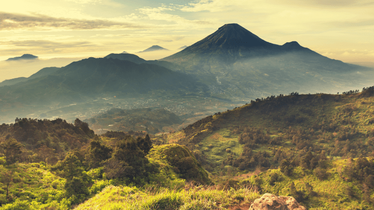 Café Java: c'est quoi? Définition, origines et histoires. | Maison du Café
